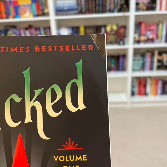 TikTok Fantasy Book: Wicked by Gregory Maguire - Picture 4 of 4